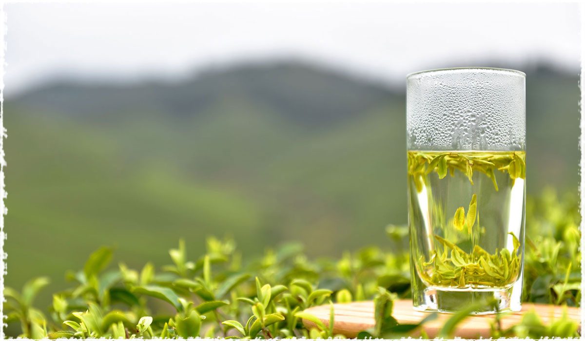 Yeşil Çay Kilo Kaybına Yardımcı Olur Mu?