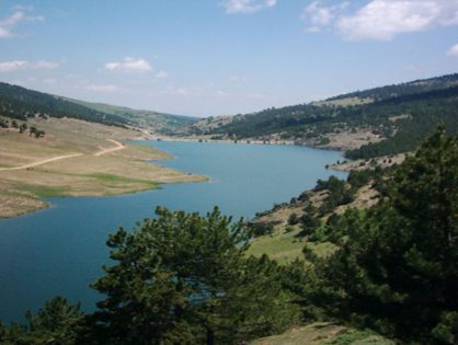 Doğanhisar Uzman Diyetisyen ve Beslenme Uzmanı