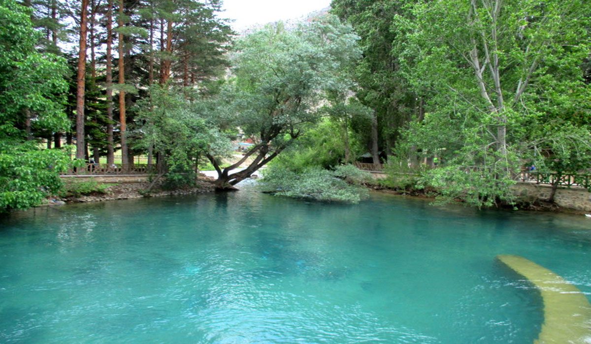Halkapınar Uzman Diyetisyen ve Beslenme Uzmanı