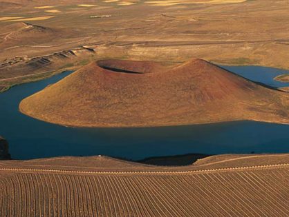 Karapınar Uzman Diyetisyen ve Beslenme Uzmanı