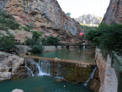 Taşkent Uzman Diyetisyen ve Beslenme Uzmanı